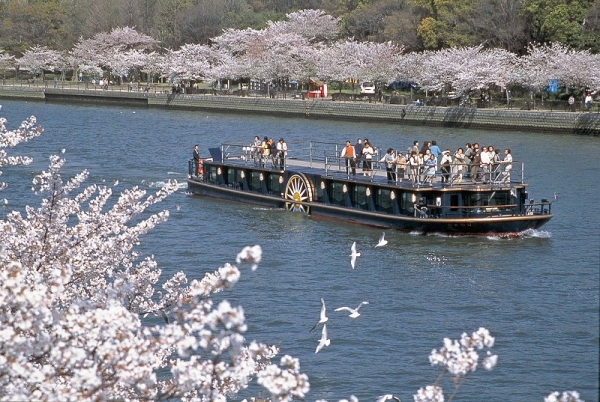 終了 ひまわり 桜スペシャルクルーズ