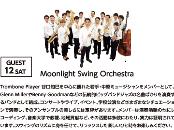 Moonlight Swing Orchestra